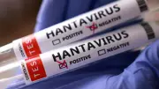 Hantavirus-Hit Cruise Ship Arrives in Rotterdam for Quarantine and Disinfection