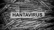 Hantavirus Outbreak on Cruise Ship: Andes Strain Spreads Person-to-Person