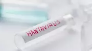 Hantavirus vs Covid-19: Why This Rare Infection Is Not a Human-to-Human Threat