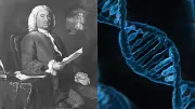 Harvard Study Finds 1.3 Million Living Relatives of Maryland's First Colonists