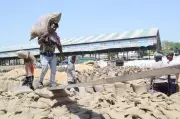 Haryana Imposes Rs 500 Daily Fine on Trucks for Slow Wheat Lifting