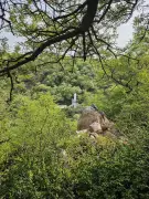 Haryana Launches First Sacred Groves Mapping Exercise