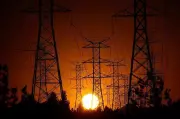 Haryana Power Discoms Seek Fuel Surcharge to Recover Rs 8,200 Crore Arrears
