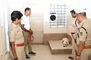Haveri Police Install Coolers for Service Dogs to Beat Summer Heat