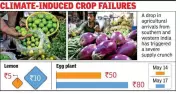 Heatwave Elsewhere in India Drives Up Veggie Prices in Kolkata Kitchens