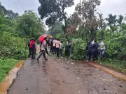 Heavy Rain Disrupts Normal Life in Kodagu, NCC Cadets Clear Fallen Tree