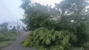 Heavy Rains Lash Old Mysuru Region, Doora Records 51mm Rainfall
