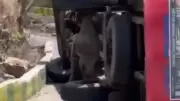 Himachal Bus Overturns After Driver Has Chest Pain, 24 Injured
