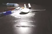 Himachal Ranks Second in Drug Trafficking Cases in India: Report