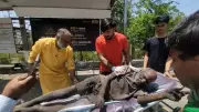 Homeless man rescued from brink of death at Navi Mumbai bus stop