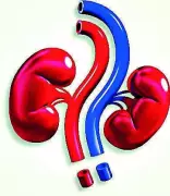 Hospitals in Delhi-NCR See Surge in Heat-Linked Kidney Ailments