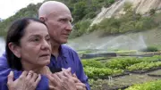 How a Brazilian Couple Planted 2 Million Trees to Restore a Devastated Forest