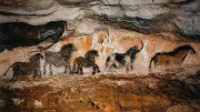 How a Dog Named Robot Led Teens to a 17,000-Year-Old Cave