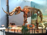 How a Farmer's Discovery of Giant Bones in a Swamp Changed America's History