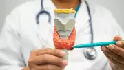 How Your Diet Affects Thyroid Health: Foods That Help and Harm