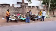 Ice Apple Stalls Thrive in Kolar as Summer Heat Intensifies