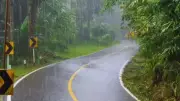 IMD Issues Yellow Alert for Heavy Rain in Nine Kerala Districts on Sunday