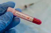 India-Africa Forum Summit Postponed Due to Ebola Outbreak
