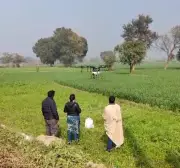 India Cannot Replicate China's Shift from Agriculture to Manufacturing: Fed Report
