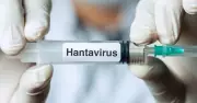 India Not Facing Hantavirus Threat Now but Needs Stronger Surveillance: Dr Gilada