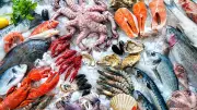 India Opens EU Seafood Market Amid US Tariff Challenges: Goyal