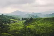 Indian Travellers Choose Offbeat Domestic Spots Amid Global Uncertainty