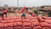 India's Informal Sector Jobs Surge 15% to Cross 15 Crore Mark in Q1 2026