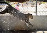 Indroda Nature Park on High Alert as Heatwave Hits Gandhinagar