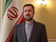 Iran Deputy FM Likely to Attend BRICS Summit in India Next Week