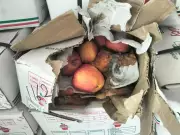 Jaipur Food Safety Dept Destroys 10,000 kg of Rotten Fruits and Expired Dates