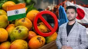 Japan Bans Indian Mango Shipments: Alphonso, Kesar Exports Face Crisis