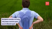 Japan Develops Sweat-Powered Biofuel Patch for Wearable Electronics