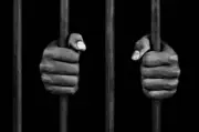 Jhansi Police Arrest Three in Arms Smuggling, Seize Weapons and Cash
