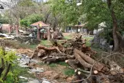 Kanke Dam Park renovation stalled for a year due to vendor issues
