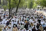 Kanpur Ulema Urge Planting Saplings, Watering Birds on Bakrid