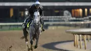 Kentucky Derby 2026: Gray Horses Aim to End 21-Year Drought at Churchill Downs