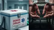 Kerala organ donation forgery kingpin arrested in Uttar Pradesh