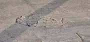 Kochi Bridge Develops Crater, Exposing Steel Bars; Locals Allege Negligence