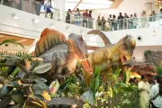 Kolkata to Get Dino World: A Prehistoric Indoor Attraction This Summer