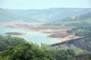 Koyna Dam Water Level Drops Sharply, Power Generation Curtailed