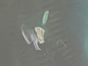 Large Oil Slick Detected Near Iran's Kharg Island: Report