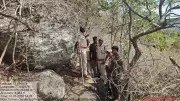 Leopard Mauls Boy to Death in Mysuru Sanctuary, Trekking Suspended