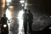 Lightning Kills 22 Goats and Cow in Satara District During Sudden Storm
