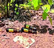 Liquor bottle litter in Odisha forests threatens elephant safety: WSO