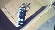 Live Bomb Found Near Pune Hospital, Security Forces on High Alert