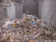 Ludhiana Gole Market Shopkeepers Demand Action on Park Sanitation