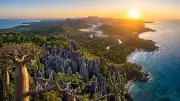 Madagascar's 180-Million-Year Isolation: A Biodiversity Hotspot