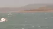 Madhya Pradesh Boat Tragedy: Death Toll Rises to 6, Video Shows Capsize