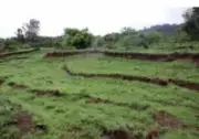 Maharashtra to Make Property Cards Mandatory with Land Titling Act