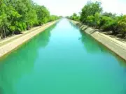 Man Jumps into Canal After Family Dispute in Delhi
